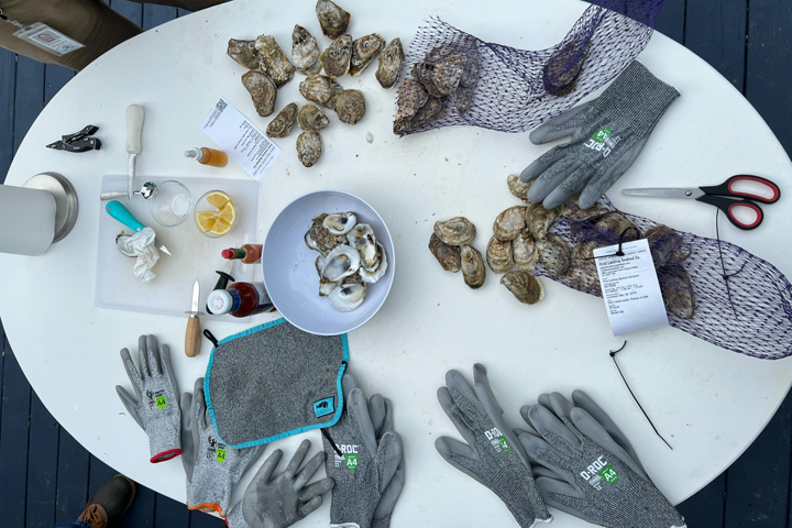 A table on which there are gloves, oysters, scissors, bags and other implements. 