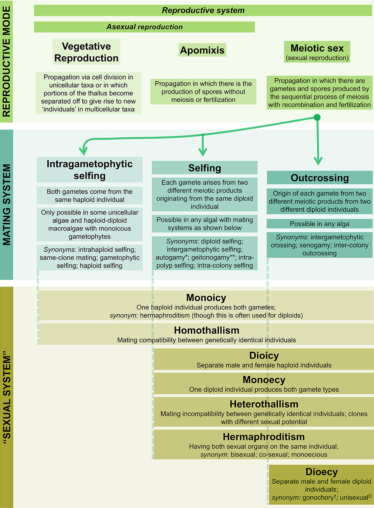 It’s time for new perspectives on algae – W&M News