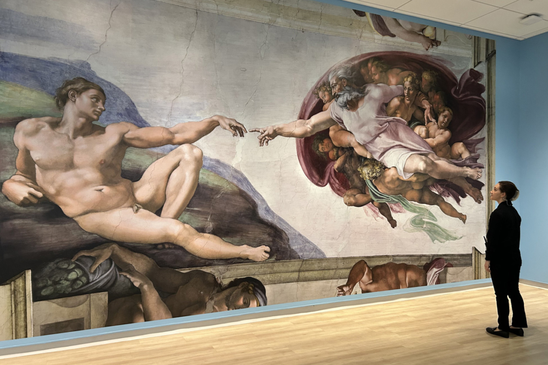 Michelangelo at W&M: Rare sketches make US debut at