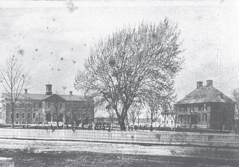 A black and white photo shows two large structures and a tree in between them.