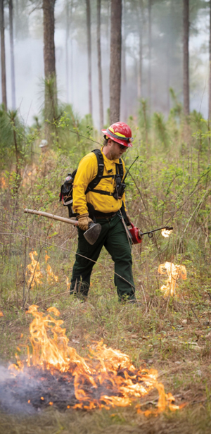 A person wearing a helmet and other safety equipment holds a shovel and walks through a wooded area where fire is on the ground.
