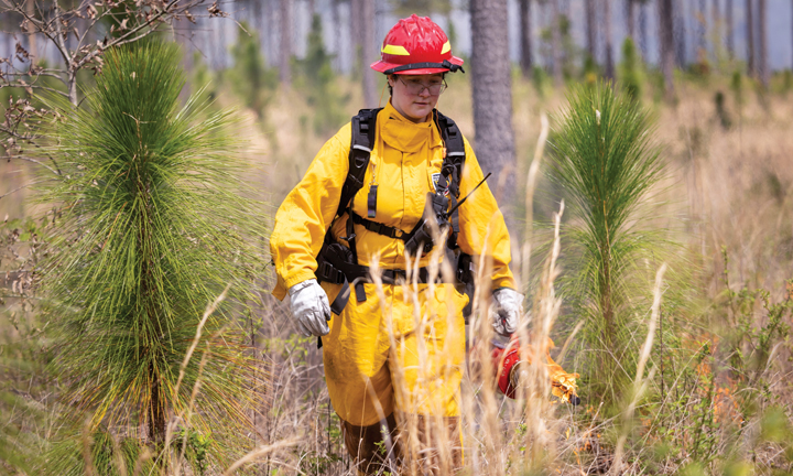A person in a helmet and safety equipment holds a device with fire coming out of it in a wooded area.