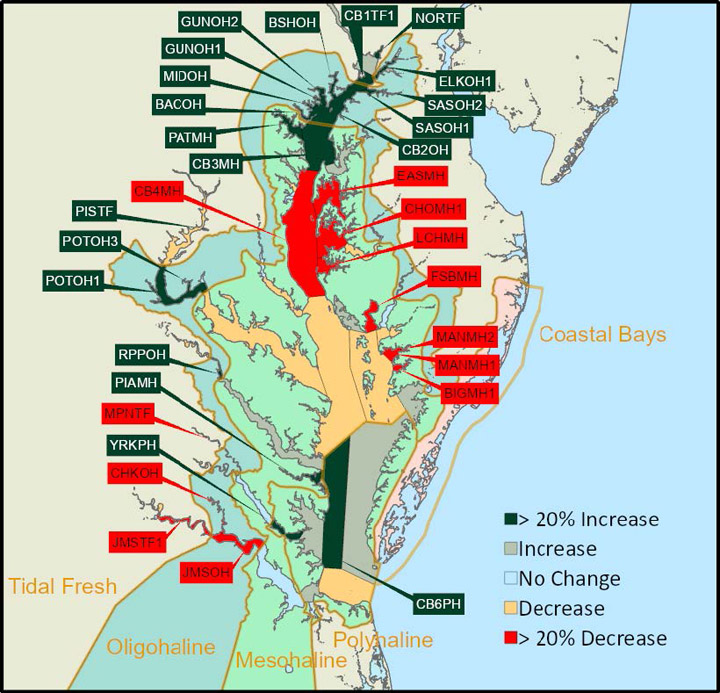 A map shows the Chesapeake Bay with multiple arrows pointing at various locations, indicating areas of increase, decrease or no change.