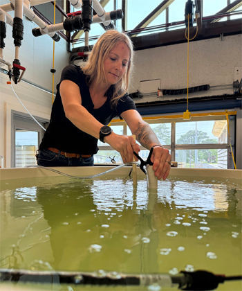 A person stands over a large water tank and affixes a clip to a tube.