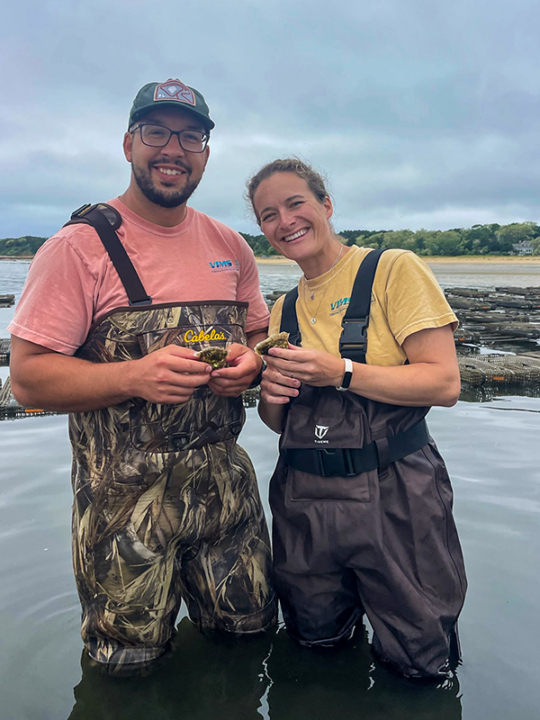 Two people stand in a body of water and hold shellfish.