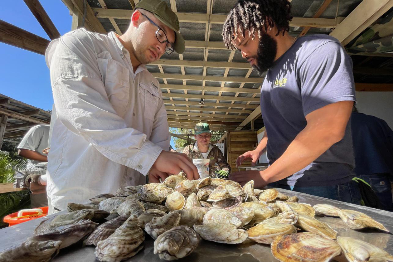 Three people lean over a table and pick up shellfish.