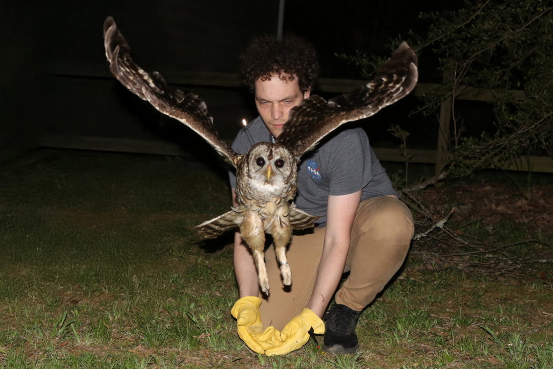 On the prowl for owls – W&M News