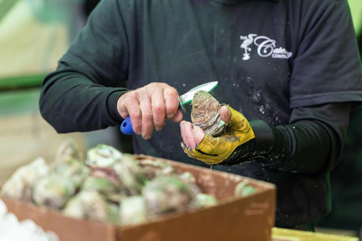 A person opens an oyster