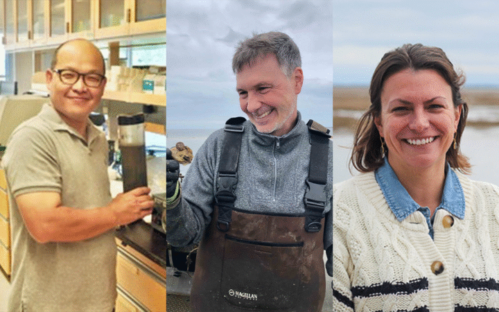 Three pictures side-by-side show three individuals.