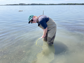 Thorne ’26 connects climate and communities through honors research