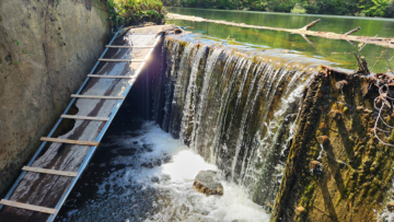 Photo of the Lake Matoaka dam with the installed ramp in the spillway