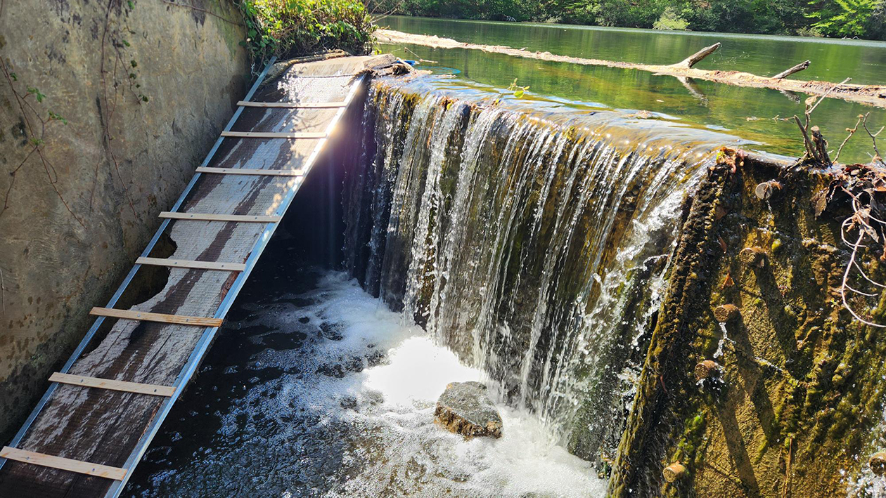 Photo of the Lake Matoaka dam with the installed ramp in the spillway