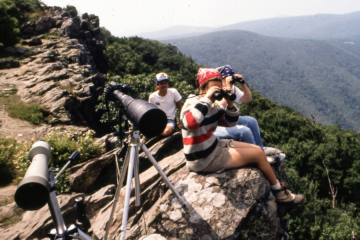 Photo of three people on a cliff watching peregrine falcons.