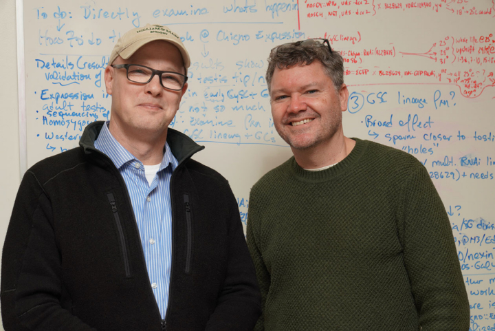 Photo of two professors in front of a whiteboard