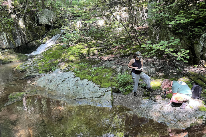 Photo of two people in the woods.