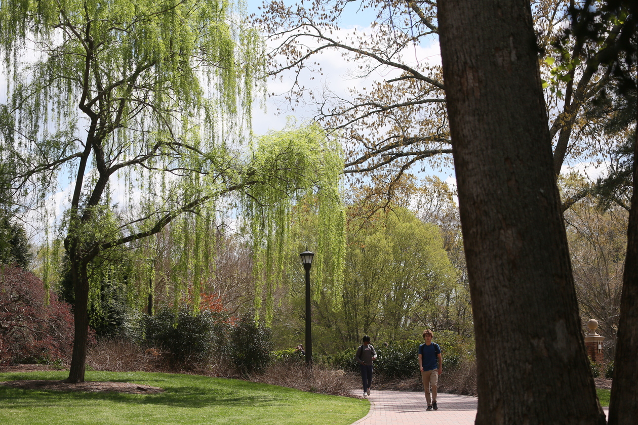 This is a photo of a leafy part of W&M's main campus