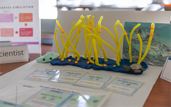 Yellow pipe cleaners with orange dots on them stick up from blue clay on a presentation table.