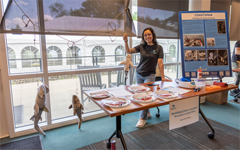 A person stands next to a display table and holds a stuffed animal shark.