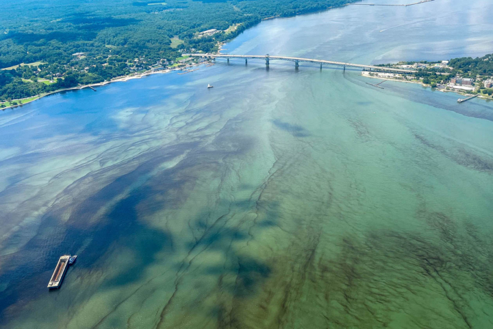 An aerial photo shows discoloration in a river with a bridge going across it.
