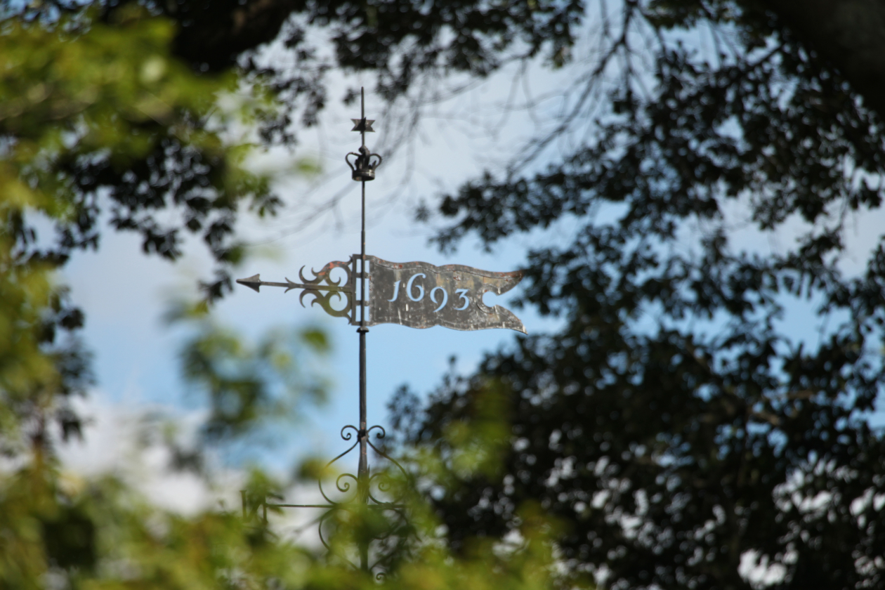 A weathervane can be seen through trees.