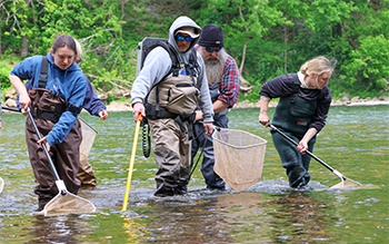 People hold nets and dip them into the water while standing in a river.