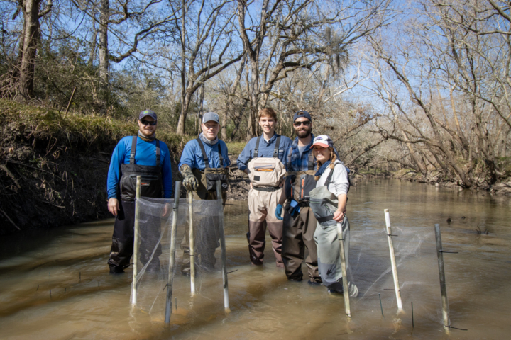 A group of people stand in a river near nets.