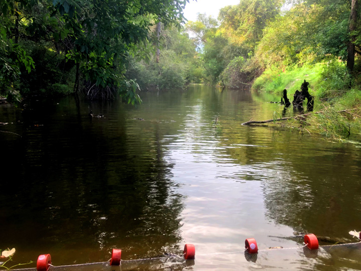 A line with orange floats is strong across a river surrounded by trees.