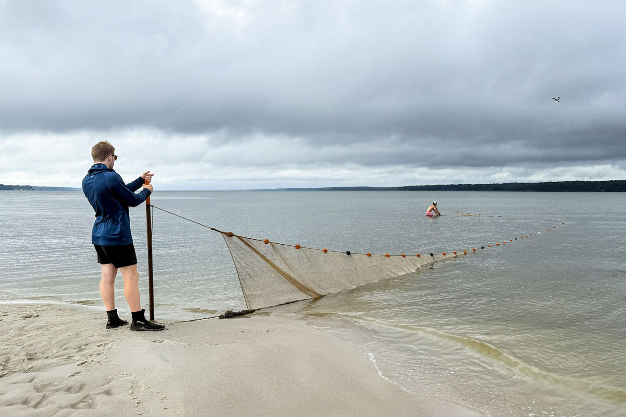 A person on a beach holds the end of a net that extends into the water.