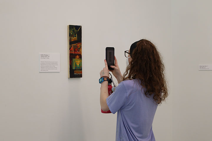 A person takes a photo of art on a wall.