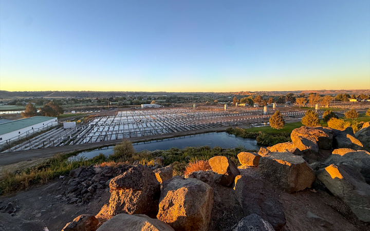 A view from an elevated location of a fish farm.
